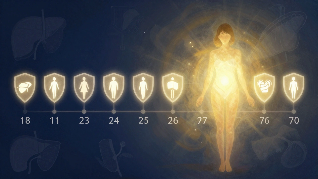 Symbolická časová osa ročních gynekologických prohlídek od 18 do 70 let.