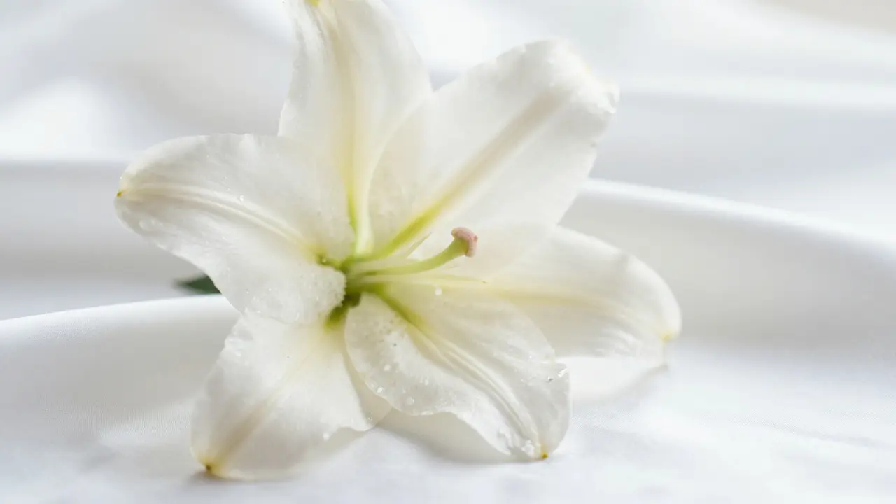 Jak se zbavit zapáchajícího výtoku? Příčiny a efektivní řešení