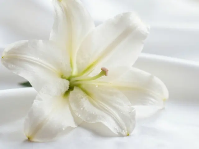 Jak se zbavit zapáchajícího výtoku? Příčiny a efektivní řešení